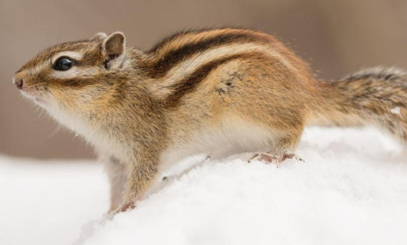 长安国际大酒店轮播图1