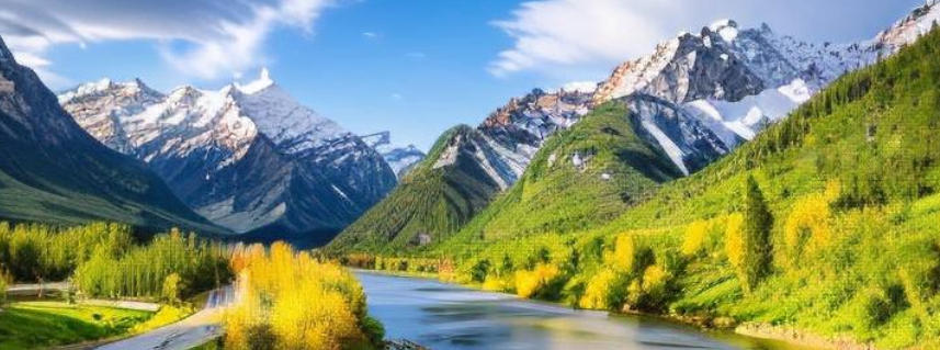 长安国际大酒店轮播图4